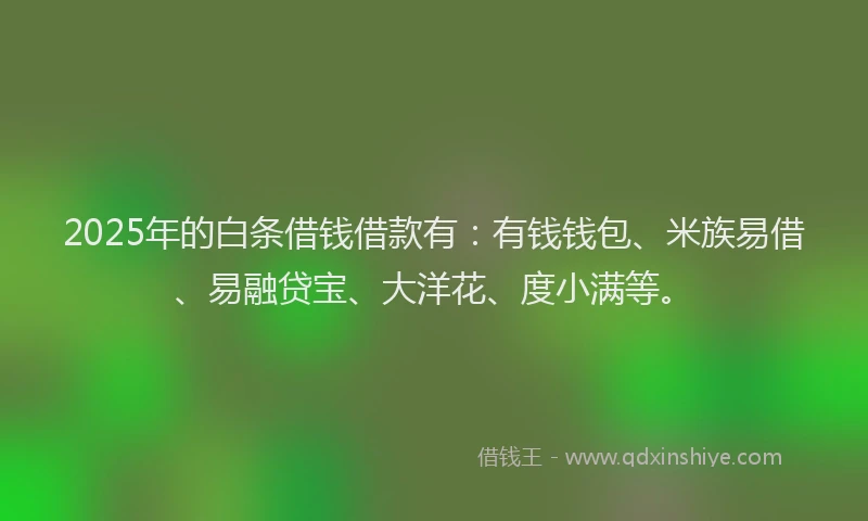 2025年的白条借钱借款有：有钱钱包、米族易借、易融贷宝、大洋花、度小满等。