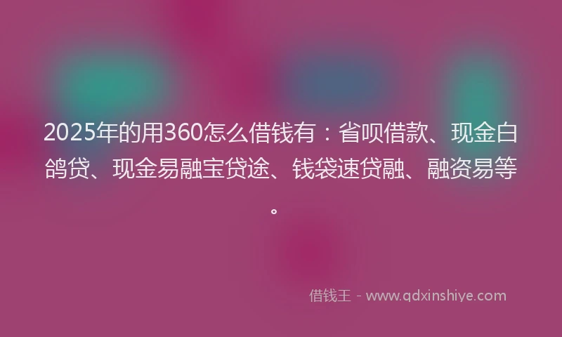 2025年的用360怎么借钱有：省呗借款、现金白鸽贷、现金易融宝贷途、钱袋速贷融、融资易等。