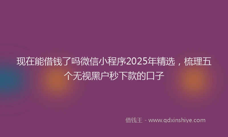 现在能借钱了吗微信小程序2025年精选，梳理五个无视黑户秒下款的口子