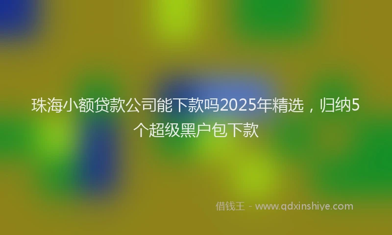 珠海小额贷款公司能下款吗2025年精选，归纳5个超级黑户包下款