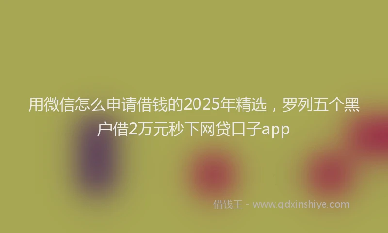 用微信怎么申请借钱的2025年精选，罗列五个黑户借2万元秒下网贷口子app