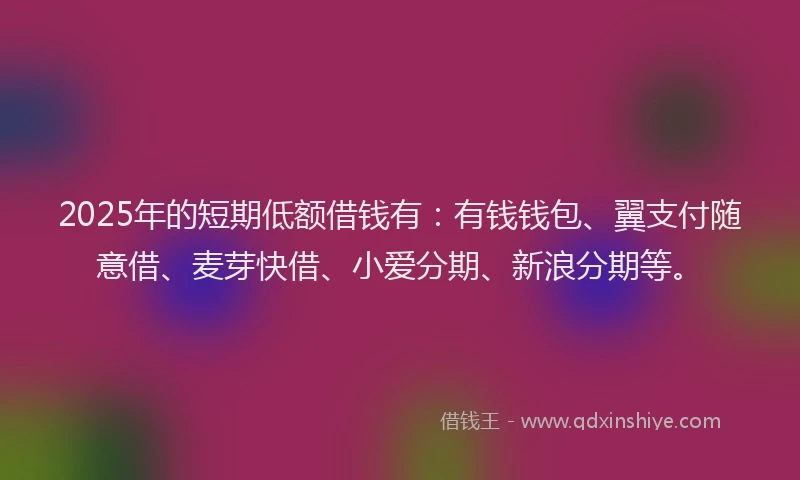 2025年的短期低额借钱有：有钱钱包、翼支付随意借、麦芽快借、小爱分期、新浪分期等。