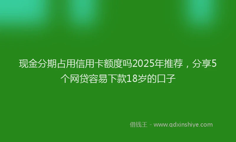 现金分期占用信用卡额度吗2025年推荐，分享5个网贷容易下款18岁的口子