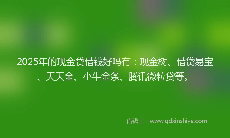 2025年的现金贷借钱好吗有：现金树、借贷易宝、天天金、小牛金条、腾讯微粒贷等。