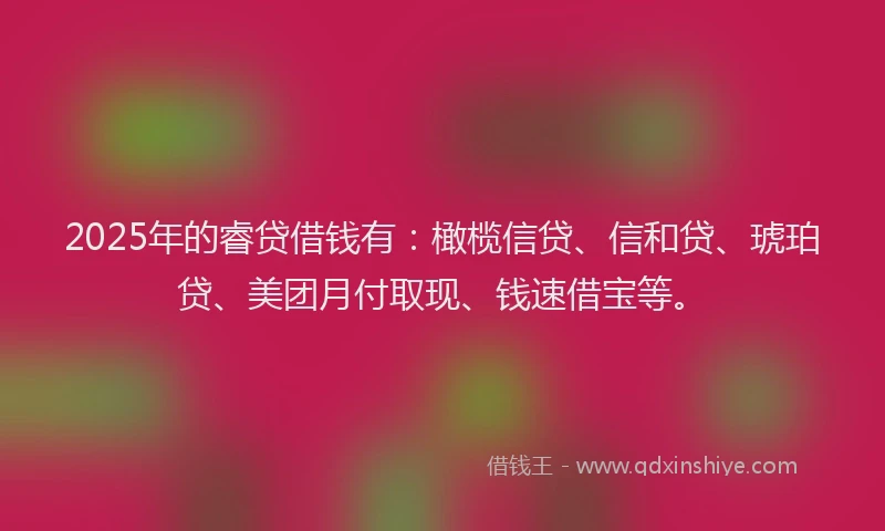2025年的睿贷借钱有：橄榄信贷、信和贷、琥珀贷、美团月付取现、钱速借宝等。