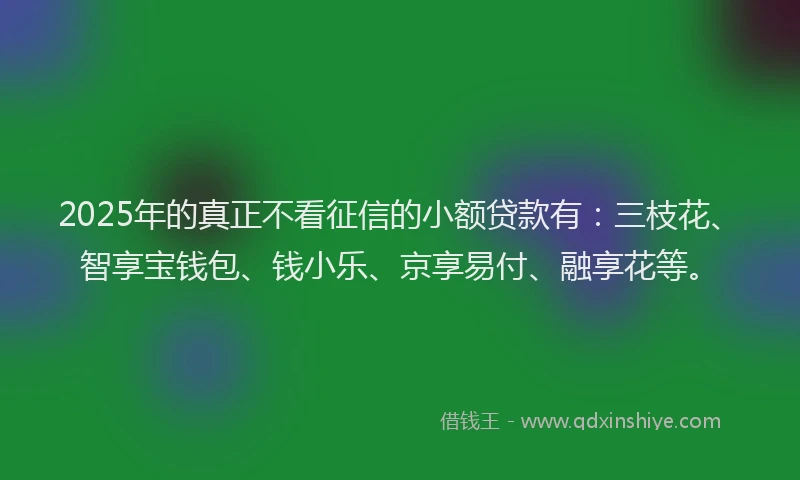 2025年的真正不看征信的小额贷款有：三枝花、智享宝钱包、钱小乐、京享易付、融享花等。