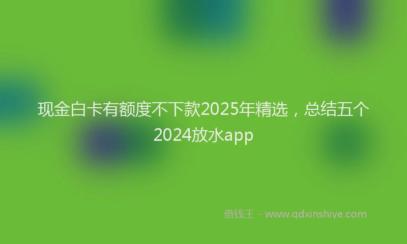 现金白卡有额度不下款2025年精选，总结五个2024放水app
