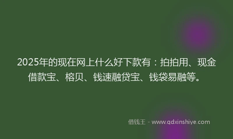 2025年的现在网上什么好下款有：拍拍用、现金借款宝、榕贝、钱速融贷宝、钱袋易融等。