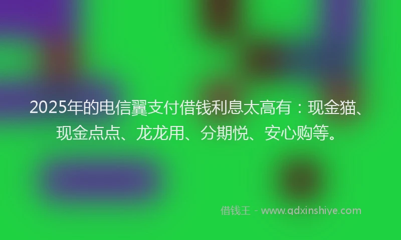 2025年的电信翼支付借钱利息太高有：现金猫、现金点点、龙龙用、分期悦、安心购等。