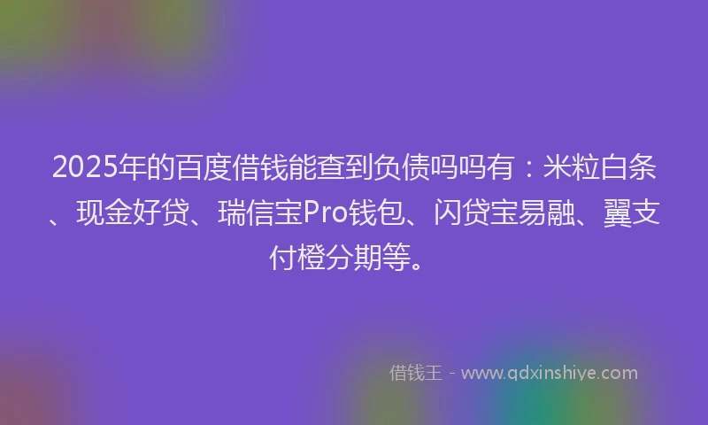 2025年的百度借钱能查到负债吗吗有：米粒白条、现金好贷、瑞信宝Pro钱包、闪贷宝易融、翼支付橙分期等。