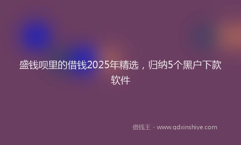 盛钱呗里的借钱2025年精选，归纳5个黑户下款软件