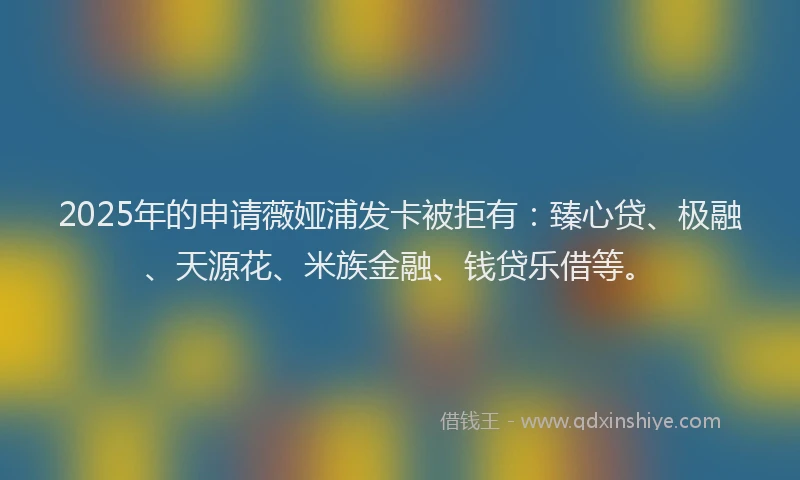 2025年的申请薇娅浦发卡被拒有：臻心贷、极融、天源花、米族金融、钱贷乐借等。