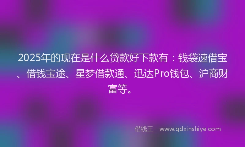 2025年的现在是什么贷款好下款有：钱袋速借宝、借钱宝途、星梦借款通、迅达Pro钱包、沪商财富等。