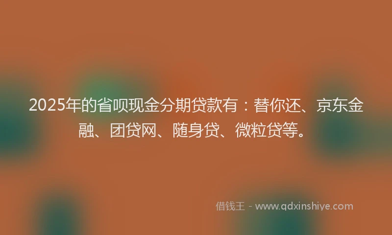 2025年的省呗现金分期贷款有：替你还、京东金融、团贷网、随身贷、微粒贷等。