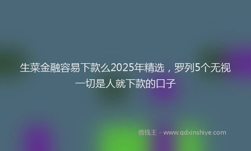 生菜金融容易下款么2025年精选，罗列5个无视一切是人就下款的口子