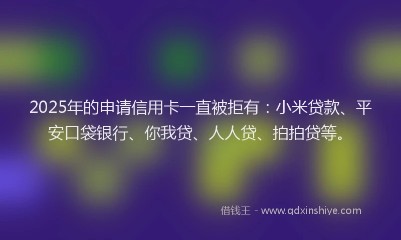 2025年的申请信用卡一直被拒有：小米贷款、平安口袋银行、你我贷、人人贷、拍拍贷等。