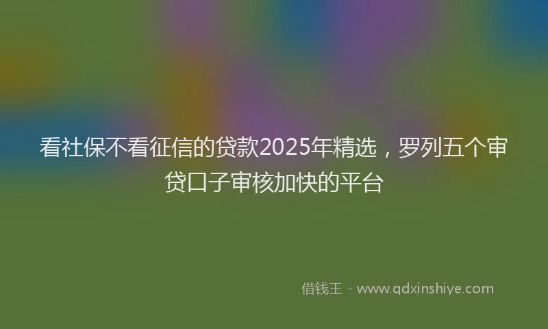 看社保不看征信的贷款2025年精选，罗列五个审贷口子审核加快的平台