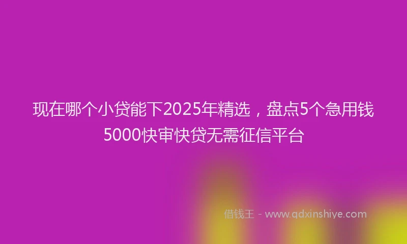 现在哪个小贷能下2025年精选，盘点5个急用钱5000快审快贷无需征信平台