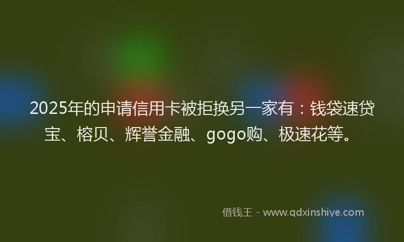 2025年的申请信用卡被拒换另一家有：钱袋速贷宝、榕贝、辉誉金融、gogo购、极速花等。
