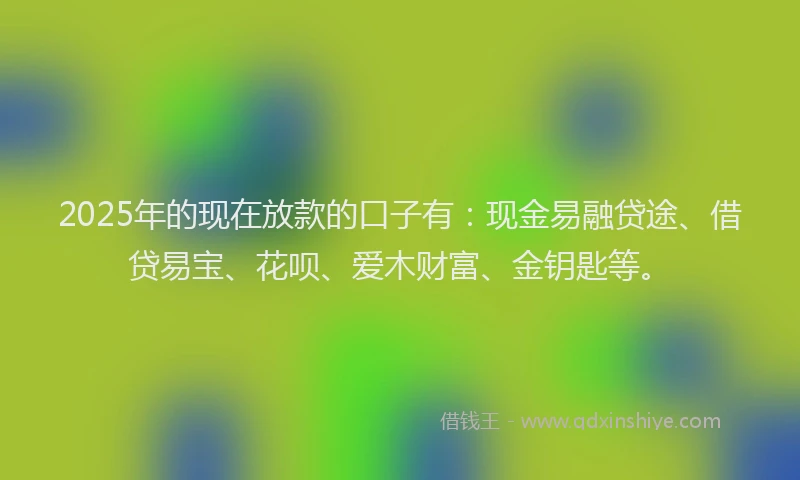 2025年的现在放款的口子有：现金易融贷途、借贷易宝、花呗、爱木财富、金钥匙等。