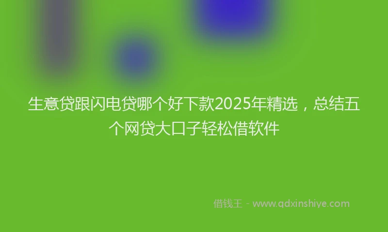 生意贷跟闪电贷哪个好下款2025年精选，总结五个网贷大口子轻松借软件