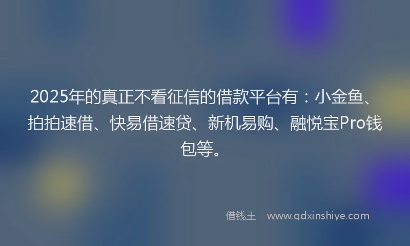 2025年的真正不看征信的借款平台有：小金鱼、拍拍速借、快易借速贷、新机易购、融悦宝Pro钱包等。
