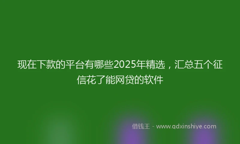 现在下款的平台有哪些2025年精选，汇总五个征信花了能网贷的软件