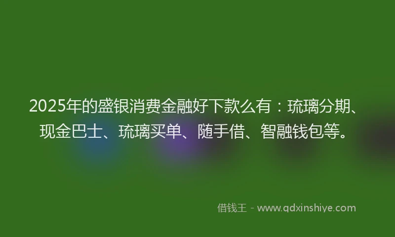 2025年的盛银消费金融好下款么有：琉璃分期、现金巴士、琉璃买单、随手借、智融钱包等。