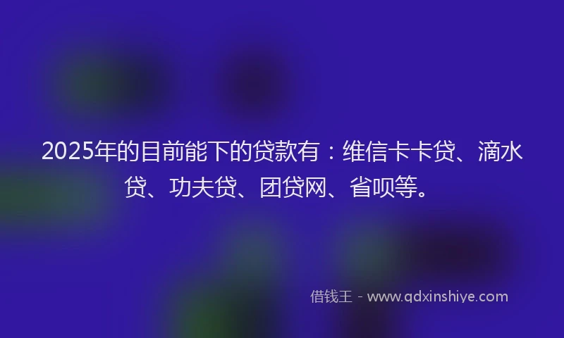 2025年的目前能下的贷款有：维信卡卡贷、滴水贷、功夫贷、团贷网、省呗等。