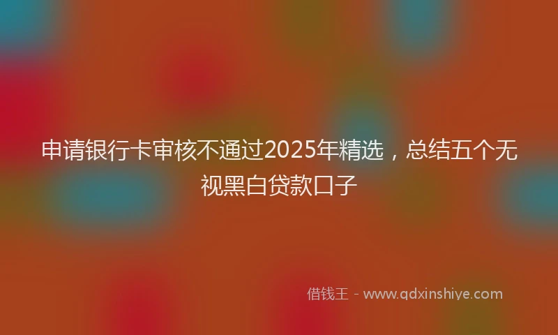 申请银行卡审核不通过2025年精选，总结五个无视黑白贷款口子