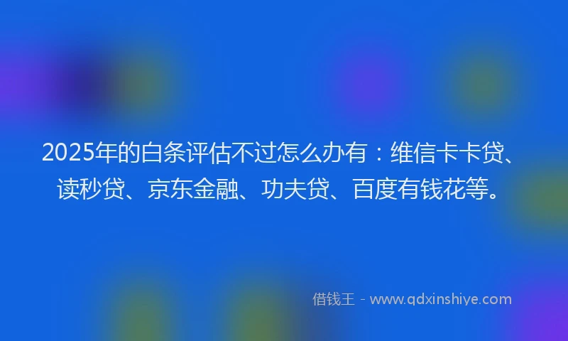 2025年的白条评估不过怎么办有：维信卡卡贷、读秒贷、京东金融、功夫贷、百度有钱花等。