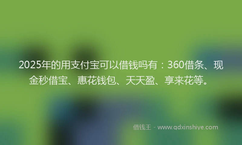 2025年的用支付宝可以借钱吗有：360借条、现金秒借宝、惠花钱包、天天盈、享来花等。
