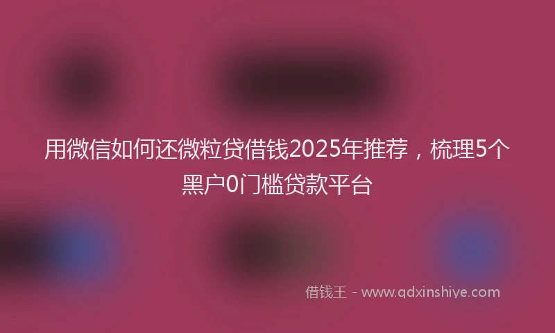 用微信如何还微粒贷借钱2025年推荐，梳理5个黑户0门槛贷款平台