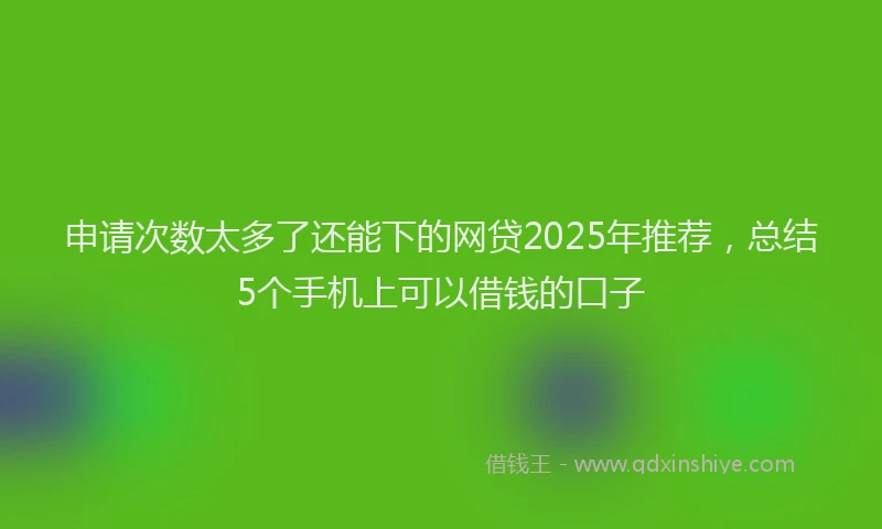 申请次数太多了还能下的网贷2025年推荐，总结5个手机上可以借钱的口子