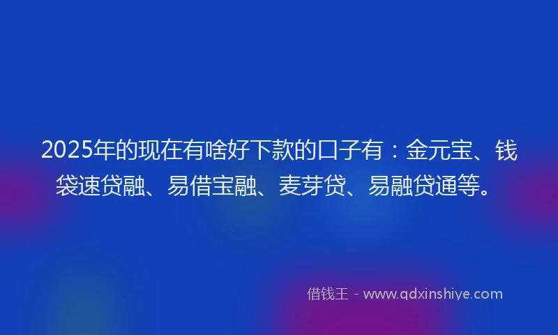 2025年的现在有啥好下款的口子有：金元宝、钱袋速贷融、易借宝融、麦芽贷、易融贷通等。