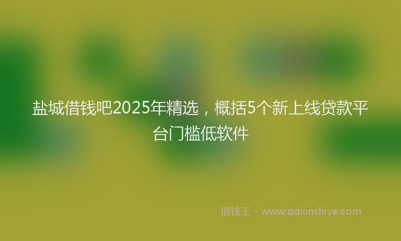 盐城借钱吧2025年精选，概括5个新上线贷款平台门槛低软件