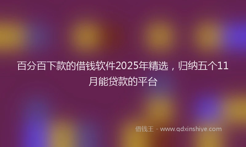 百分百下款的借钱软件2025年精选，归纳五个11月能贷款的平台