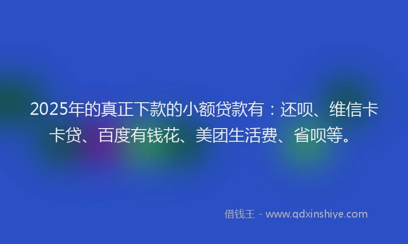 2025年的真正下款的小额贷款有：还呗、维信卡卡贷、百度有钱花、美团生活费、省呗等。