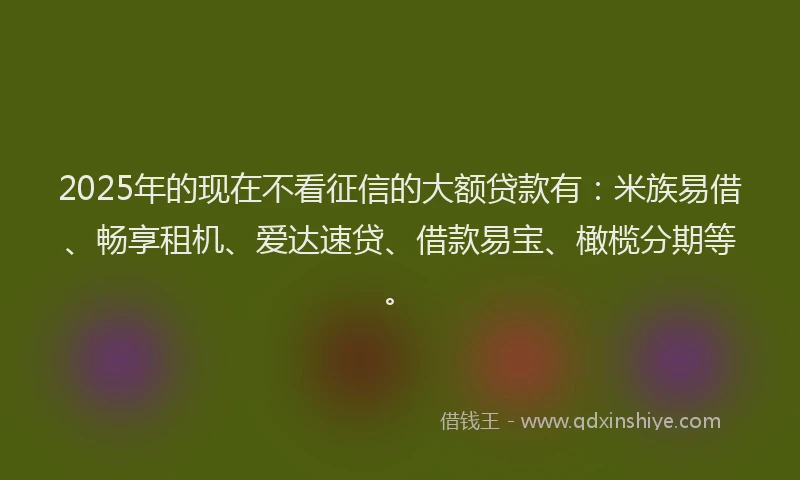 2025年的现在不看征信的大额贷款有：米族易借、畅享租机、爱达速贷、借款易宝、橄榄分期等。