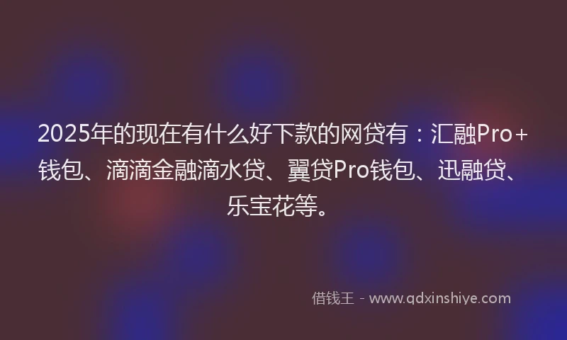 2025年的现在有什么好下款的网贷有：汇融Pro+钱包、滴滴金融滴水贷、翼贷Pro钱包、迅融贷、乐宝花等。