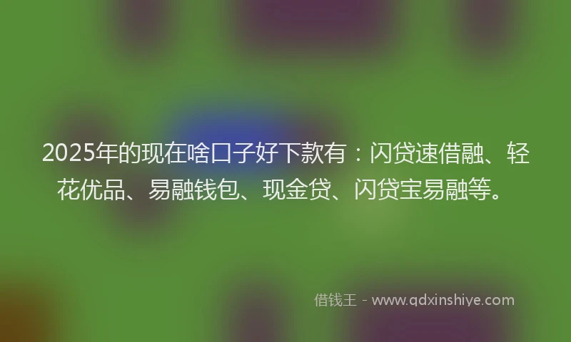 2025年的现在啥口子好下款有：闪贷速借融、轻花优品、易融钱包、现金贷、闪贷宝易融等。