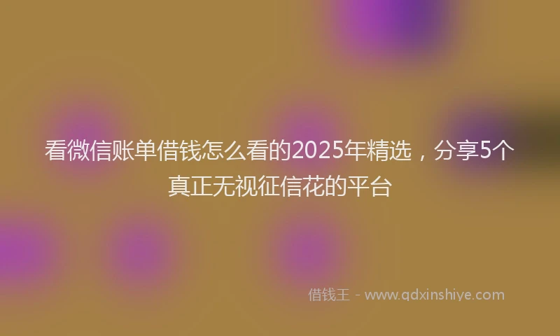 看微信账单借钱怎么看的2025年精选，分享5个真正无视征信花的平台