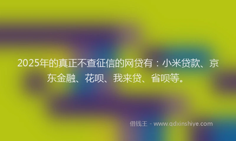 2025年的真正不查征信的网贷有：小米贷款、京东金融、花呗、我来贷、省呗等。