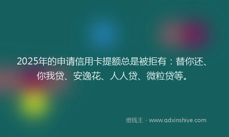 2025年的申请信用卡提额总是被拒有：替你还、你我贷、安逸花、人人贷、微粒贷等。