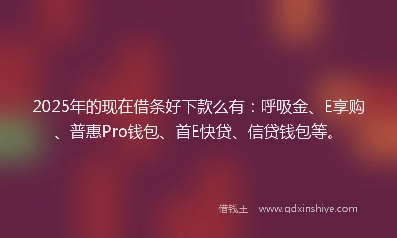 2025年的现在借条好下款么有：呼吸金、E享购、普惠Pro钱包、首E快贷、信贷钱包等。