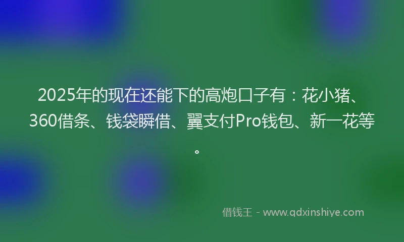 2025年的现在还能下的高炮口子有：花小猪、360借条、钱袋瞬借、翼支付Pro钱包、新一花等。