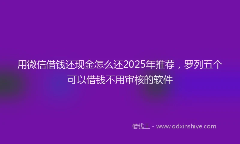 用微信借钱还现金怎么还2025年推荐，罗列五个可以借钱不用审核的软件