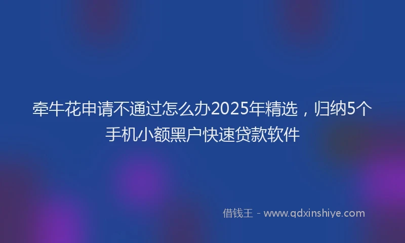 牵牛花申请不通过怎么办2025年精选，归纳5个手机小额黑户快速贷款软件