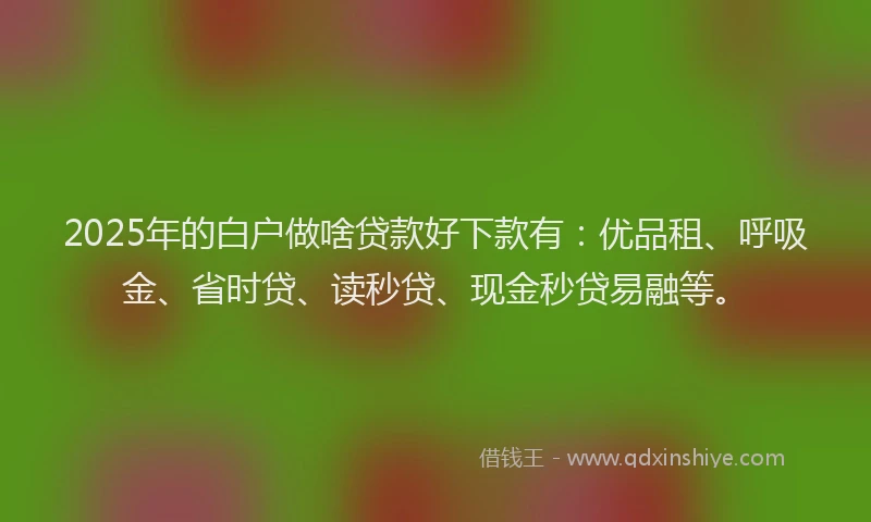 2025年的白户做啥贷款好下款有：优品租、呼吸金、省时贷、读秒贷、现金秒贷易融等。