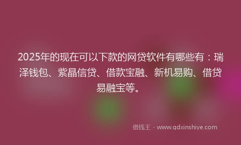 2025年的现在可以下款的网贷软件有哪些有：瑞泽钱包、紫晶信贷、借款宝融、新机易购、借贷易融宝等。